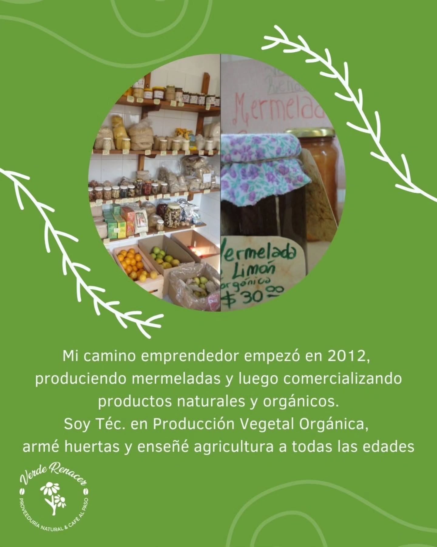 Publicación de Instagram de verderenacer